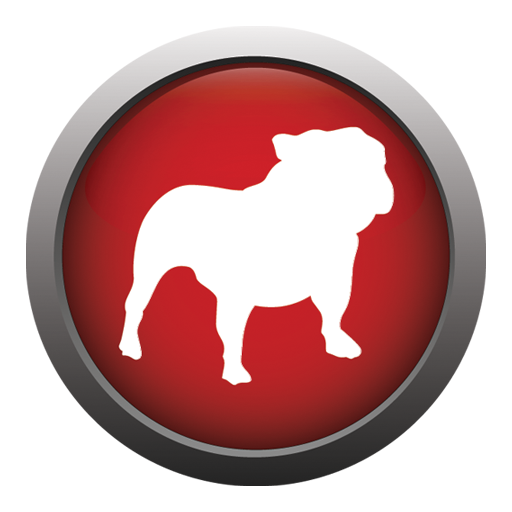 Bullgard Logo
